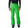 Herren Skihose DARE strobe green