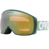 Flight Tracker M B1B matte jade / Prizm Sage Gold Iridium