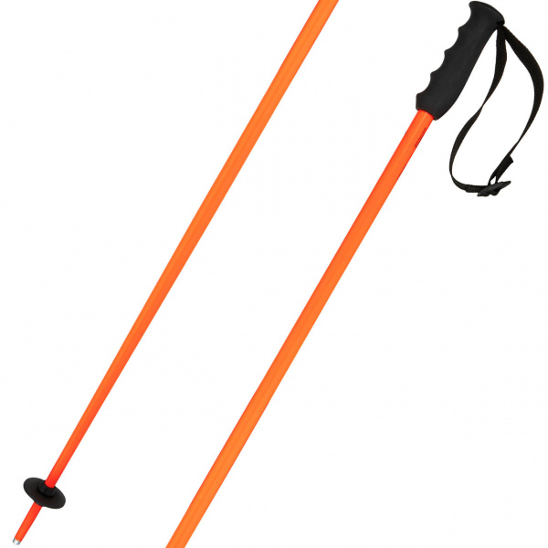 Head Worldcup Rebels Carbon white/blk/speed blue poles | XSPO