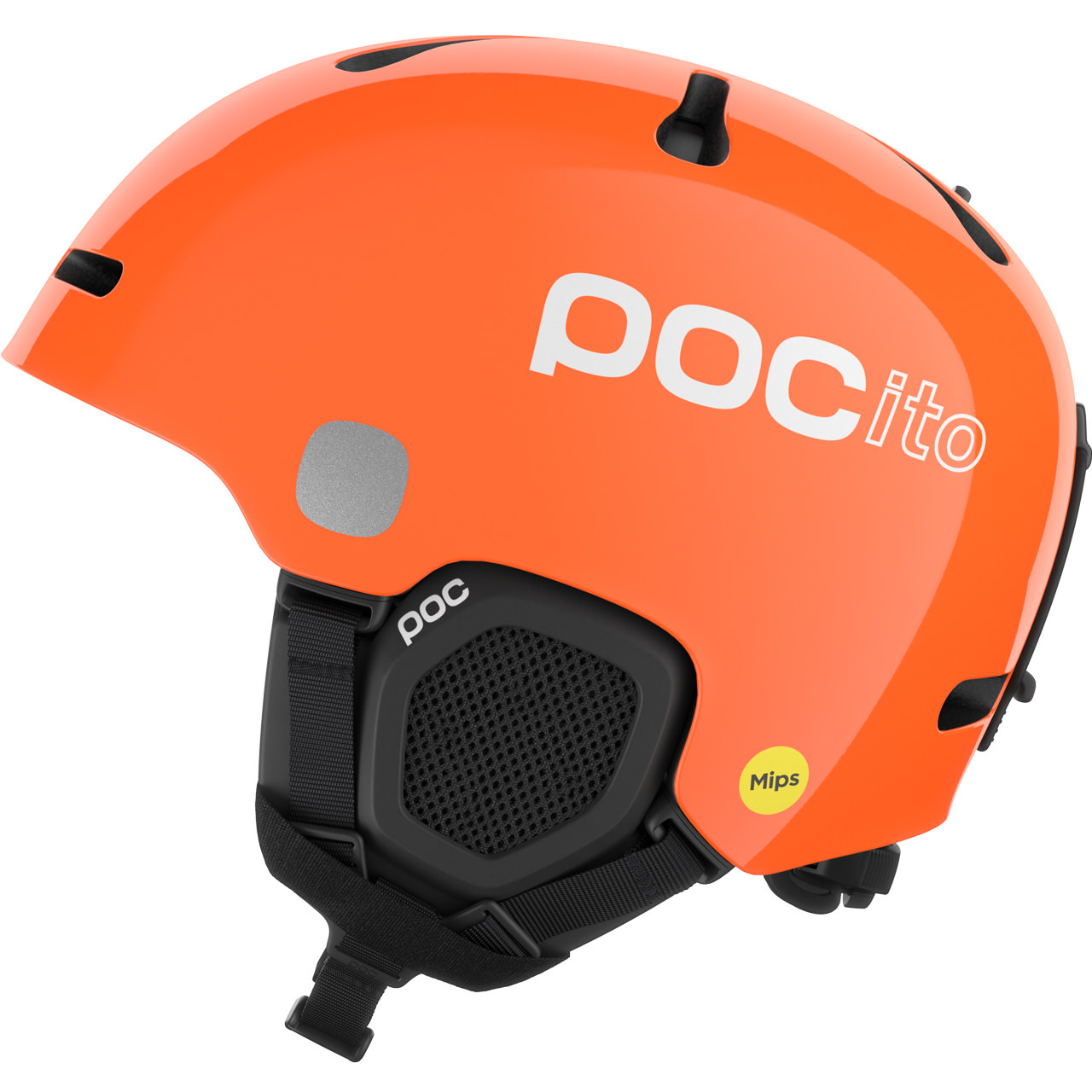 25_pocito-fornix-mips_10415-