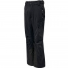 Herren Skihose GOSTT black