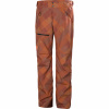Herren Skihose SOGN CARGO iron oxyd