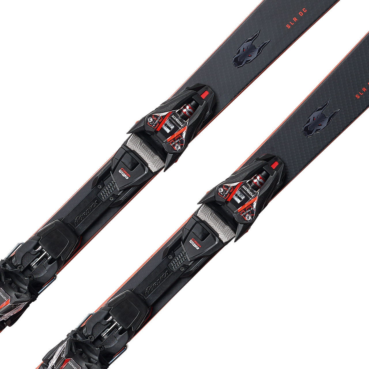 Nordica Dobermann SLR DC FDT | XSPO