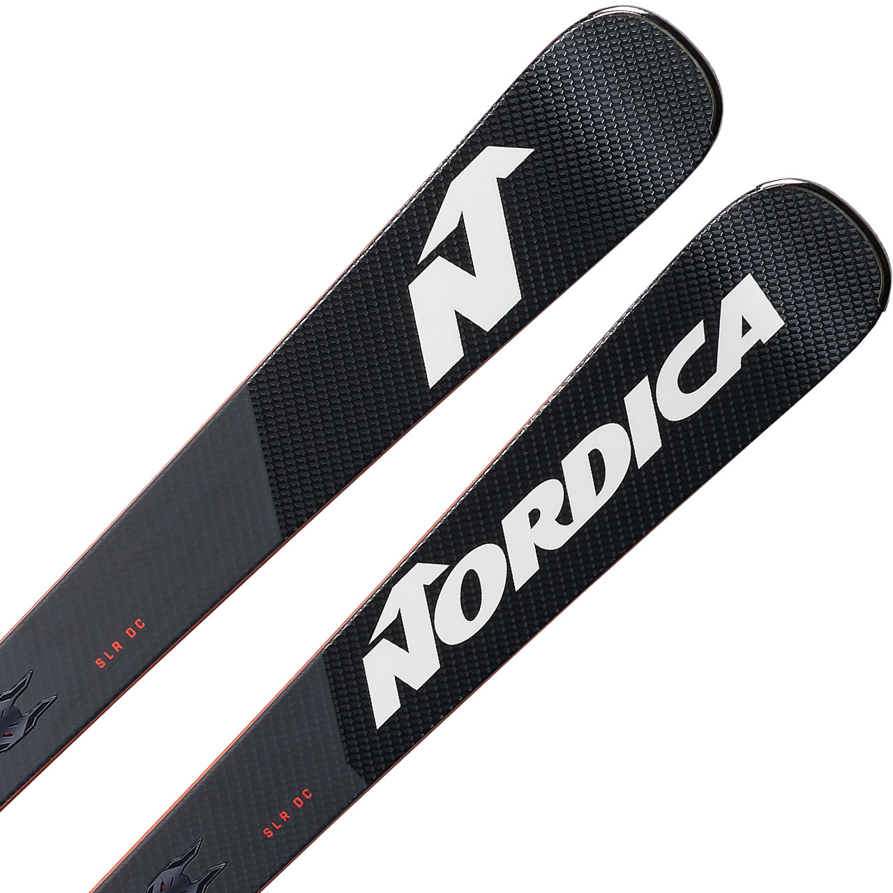 Nordica Dobermann SLR DC FDT | XSPO